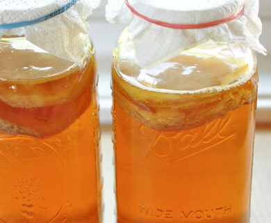 Jars of Kombucha tea