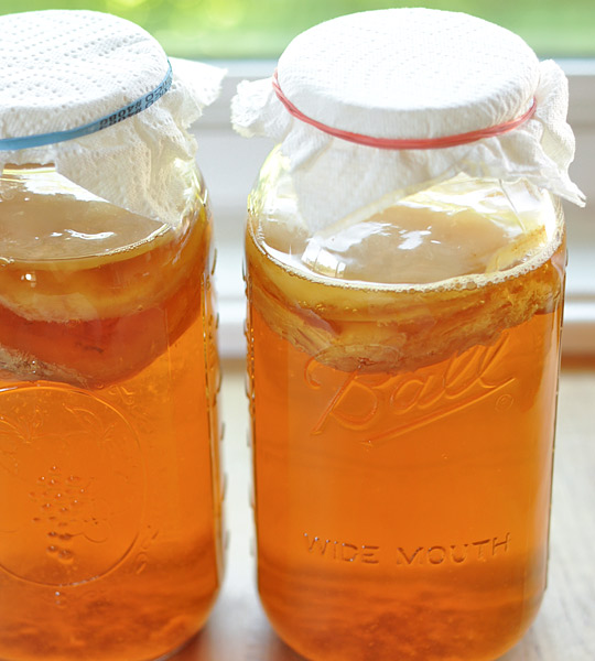 Jars of Kombucha tea