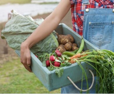 farm veggies