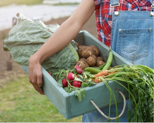 farm veggies